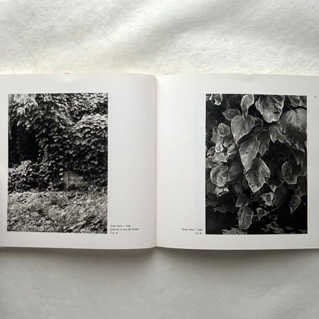 Otho Lloyd / オト・ロイド