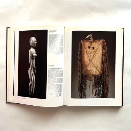African Art The Barbier-Mueller Collection   /   Enrico Castelli