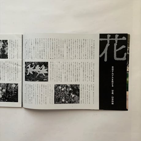OTOKO JOY2 LAVELY JAPAN