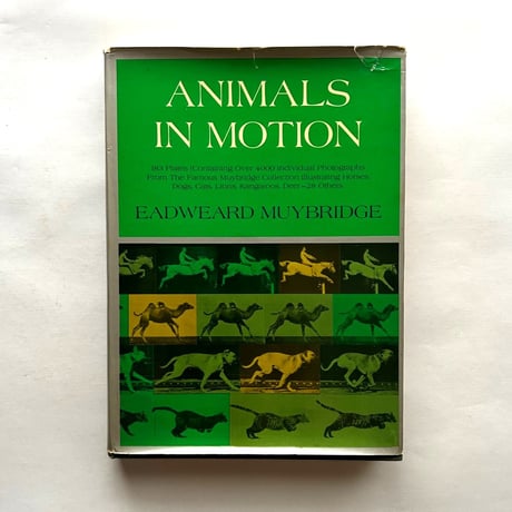 Animals in Motion / Eadweard Muybridge