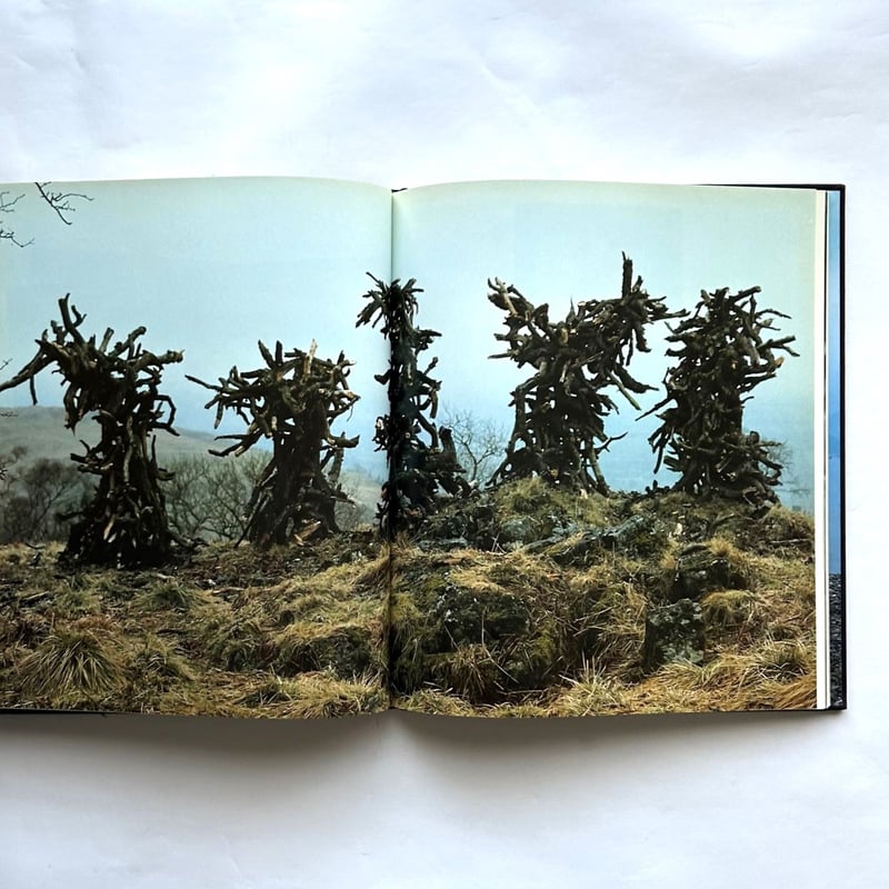 アート・デザイン・音楽 ANDY GOLDSWORTHY:A Collabo With Nature Andy Goldsworthy: A Collaboration with Nature: Goldsworthy