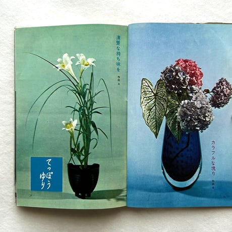 龍生派の自由花　素材を新しい目でとらえる / 吉村華泉