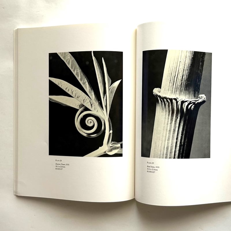 アンドレアス・ファイニンガー / Andreas Feininger | 本
