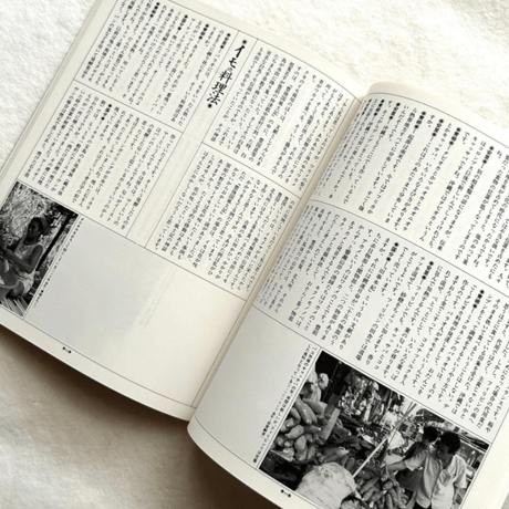 イモ文化再考 / 自然と文化32