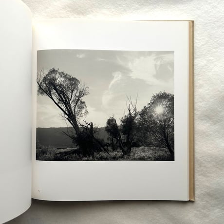 Tree Line / Robert Adams