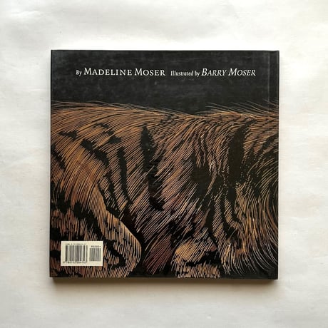 Ever Heard of an Aardwolf?/ Madeline Moser