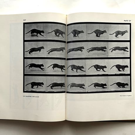 Animals in Motion / Eadweard Muybridge