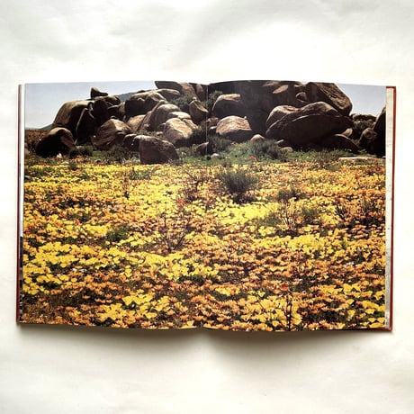 Namaqualand, thirstland in bloom / Chris Jansen