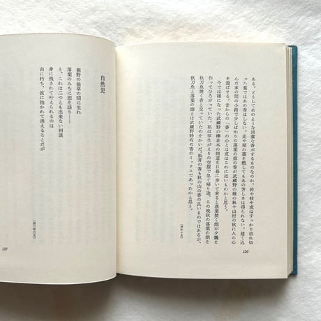 海辺の溶岩 / 曾宮一念