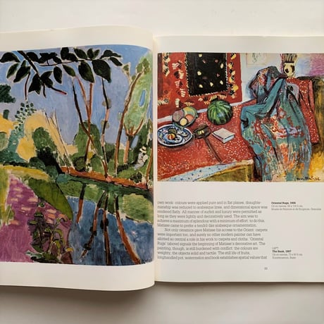 Henri Matisse 1869-1954 Master of Colour