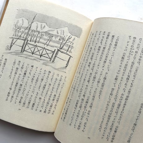 山・原野・牧場 / 坂本直行