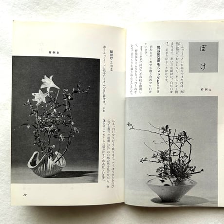 龍生派の自由花　素材を新しい目でとらえる / 吉村華泉