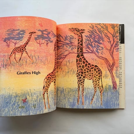 All Butterflies   An ABC / Marcia Brown　古書