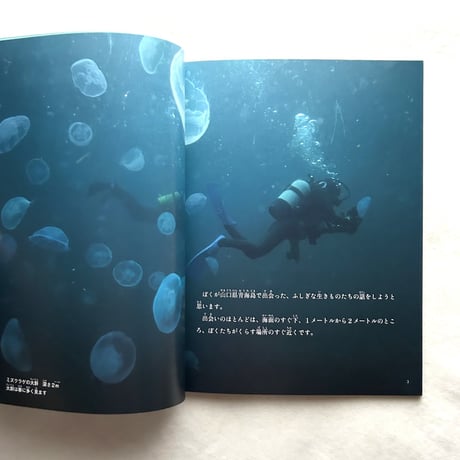 海のかたち　ぼくの見たプランクトン / たくさんのふしぎ391