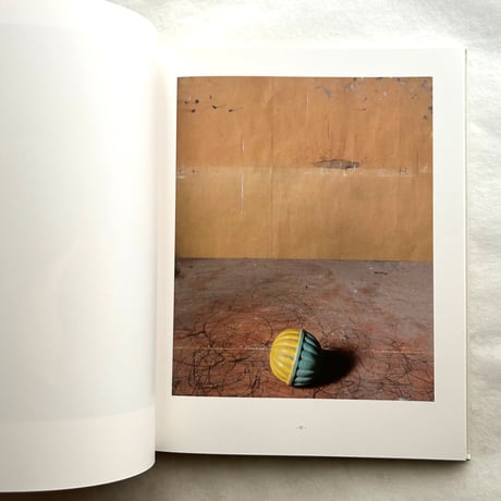 Joel Meyerowitz Morandi’s Objects / ジョエル・マイヤーウィッツ
