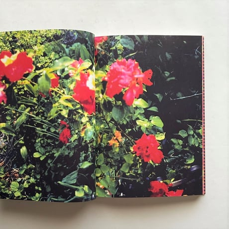 色の詩 / Ka Moser