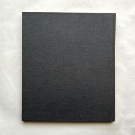 The Twin Towers: An Elegy 1972-2001 / Kelly Padden