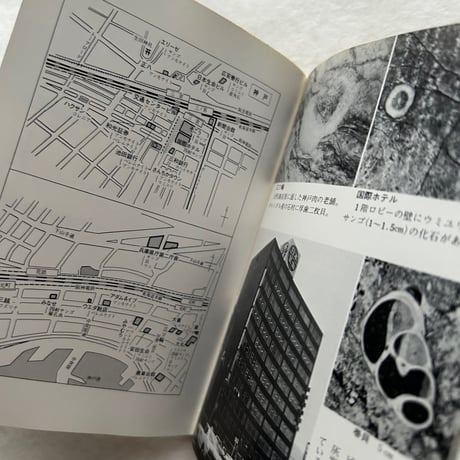 都市の化石地図 / カラーブックス587