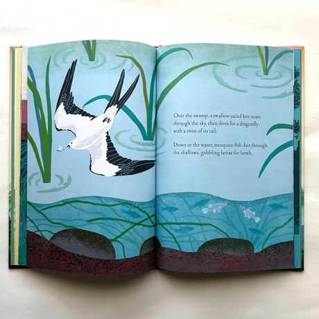 Over and Under the Wetland / Christopher Silas Neal, Kate Messner