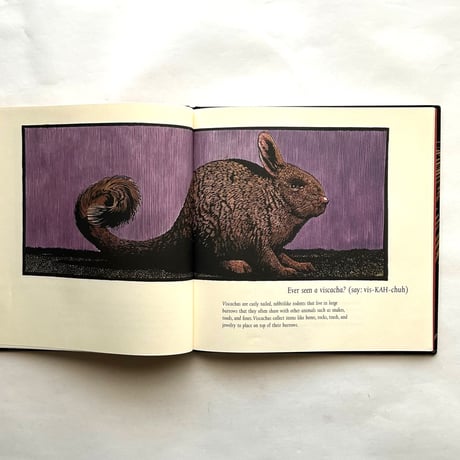 Ever Heard of an Aardwolf?/ Madeline Moser