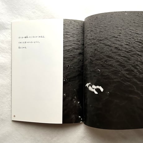 かくれんぼ / たくさんのふしぎ249