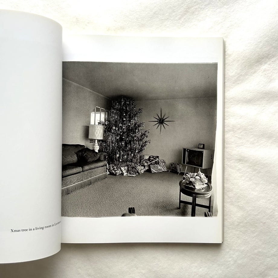 6a13e6da3b83cf097975a309