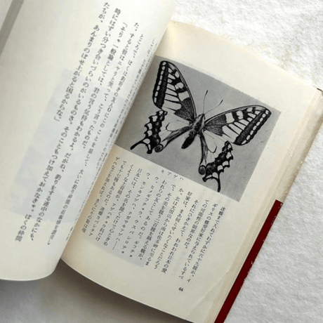 愛蝶記 / 浅田孝二