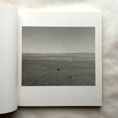 Tree Line / Robert Adams