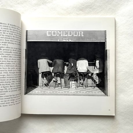Manuel Alvarez Bravo (Aperture Masters of Photography Three) / Aperture