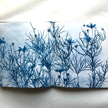 Blue Prints / Zeva Oelbaum