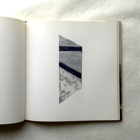 Paintings on Marble / ブライス・マーデン
