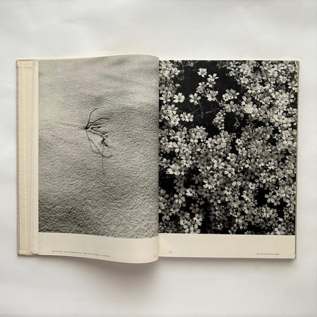 Sehen Gestalten  / Fritz Kuhn フリッツ・クーン