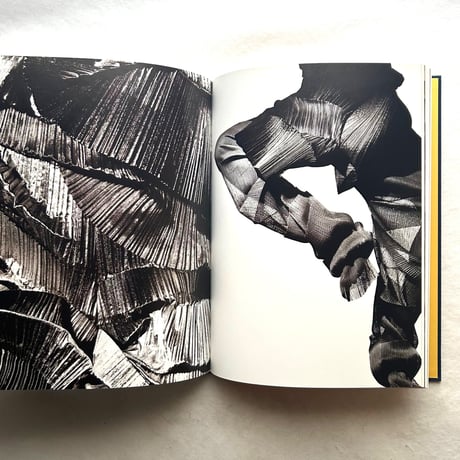 ISSEY MIYAKE 三宅一生 / マーク・ホルボーン