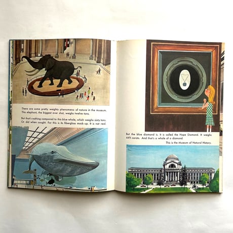 This is Washington,D.C. / M.Sasek