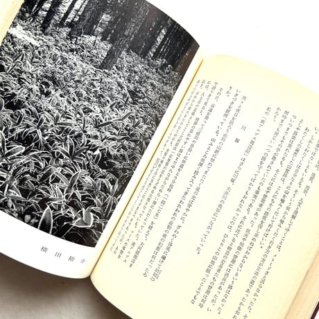 「忘れえぬ山」 串田孫一　全3巻セット