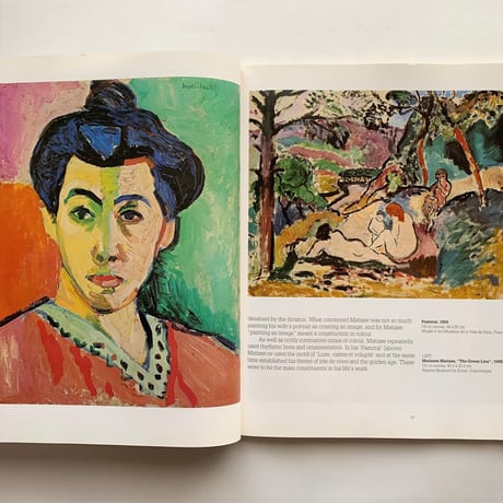 Henri Matisse 1869-1954 Master of Colour