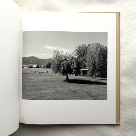 Tree Line / Robert Adams