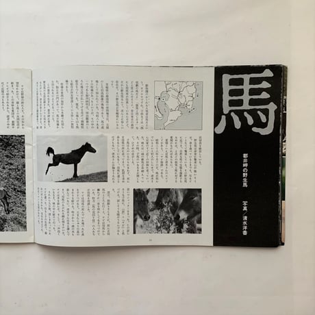 OTOKO JOY2 LAVELY JAPAN