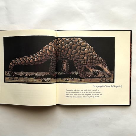 Ever Heard of an Aardwolf?/ Madeline Moser