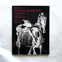 An Atlas of Animal Anatomy for Artists