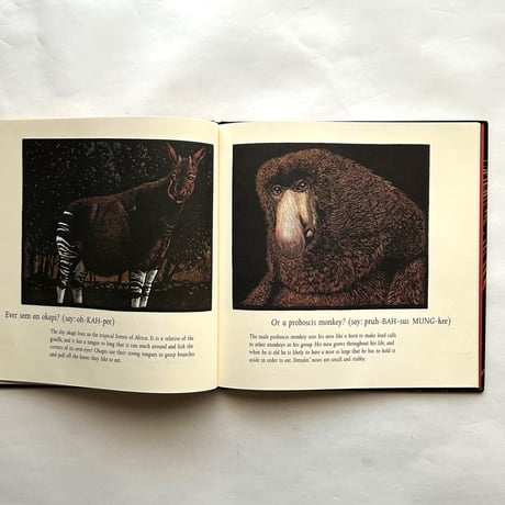 Ever Heard of an Aardwolf?/ Madeline Moser