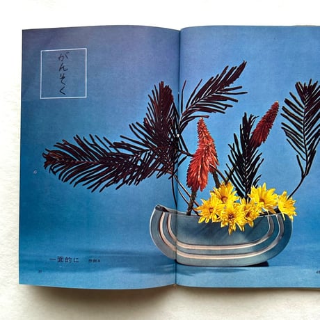 龍生派の自由花　素材を新しい目でとらえる / 吉村華泉