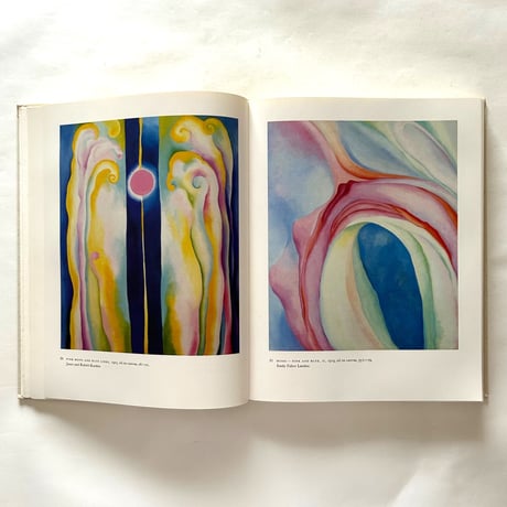 Georgia O'Keeffe  Art and Letters / Jack Cowart, Juan Hamilton