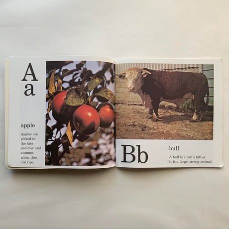 Farm Alphabet Book / Jane Miller　古書