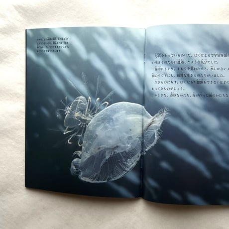 海のかたち　ぼくの見たプランクトン / たくさんのふしぎ391