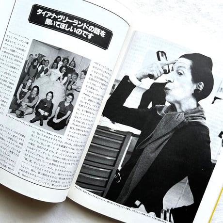 チープ・シック お金をかけないでシックに着こなす法 / カテリーヌ・ミリネア