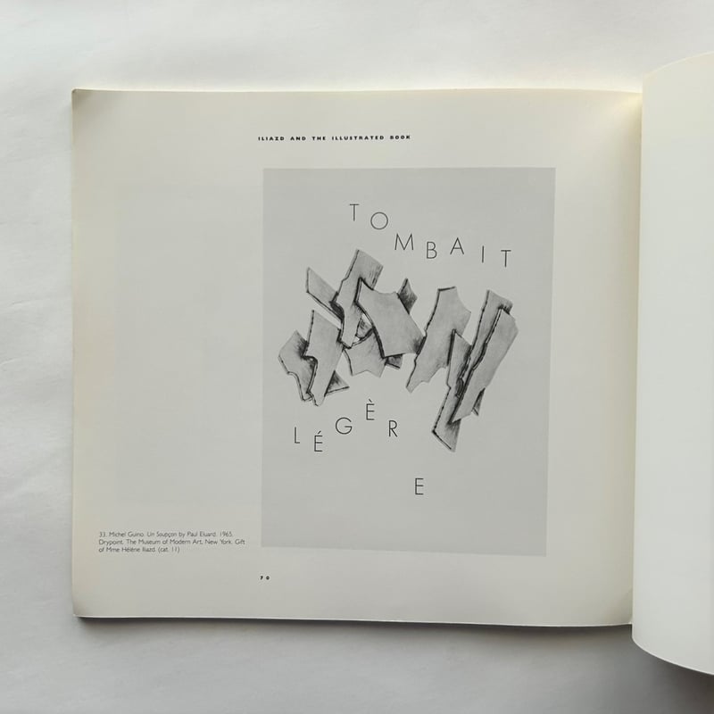 Iliazd and the Illustrated Book / Audrey Isselb