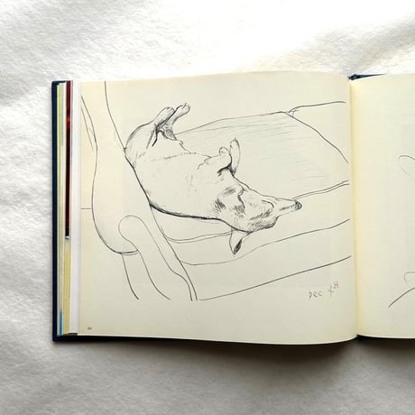 David Hockney's Dog Days / デイヴィッド・ホックニー