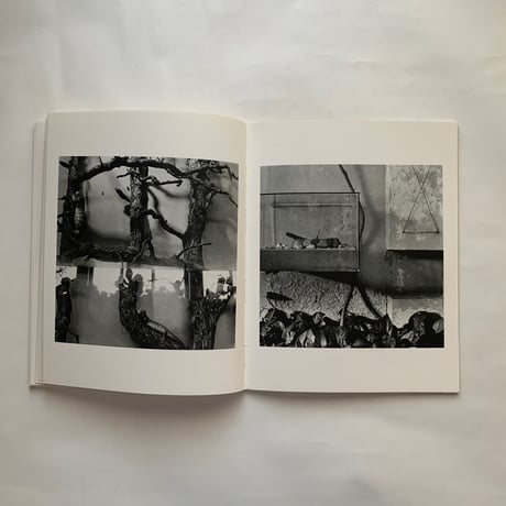 Camera International Vol.1