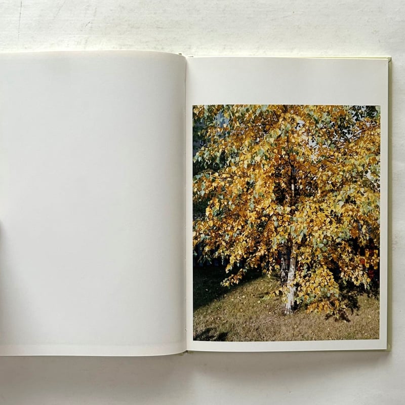 Takashi Homma （ホンマタカシ）: In Our Nature - BOOK OF DAYS